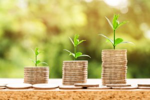 Wealth Creation and Management